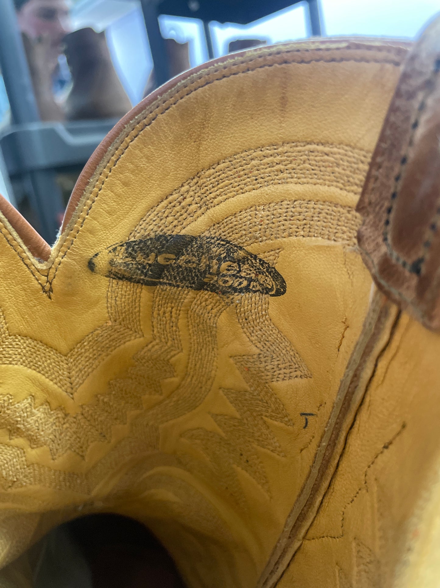 Caiman Alligator Lucchesse Cowboy Boots