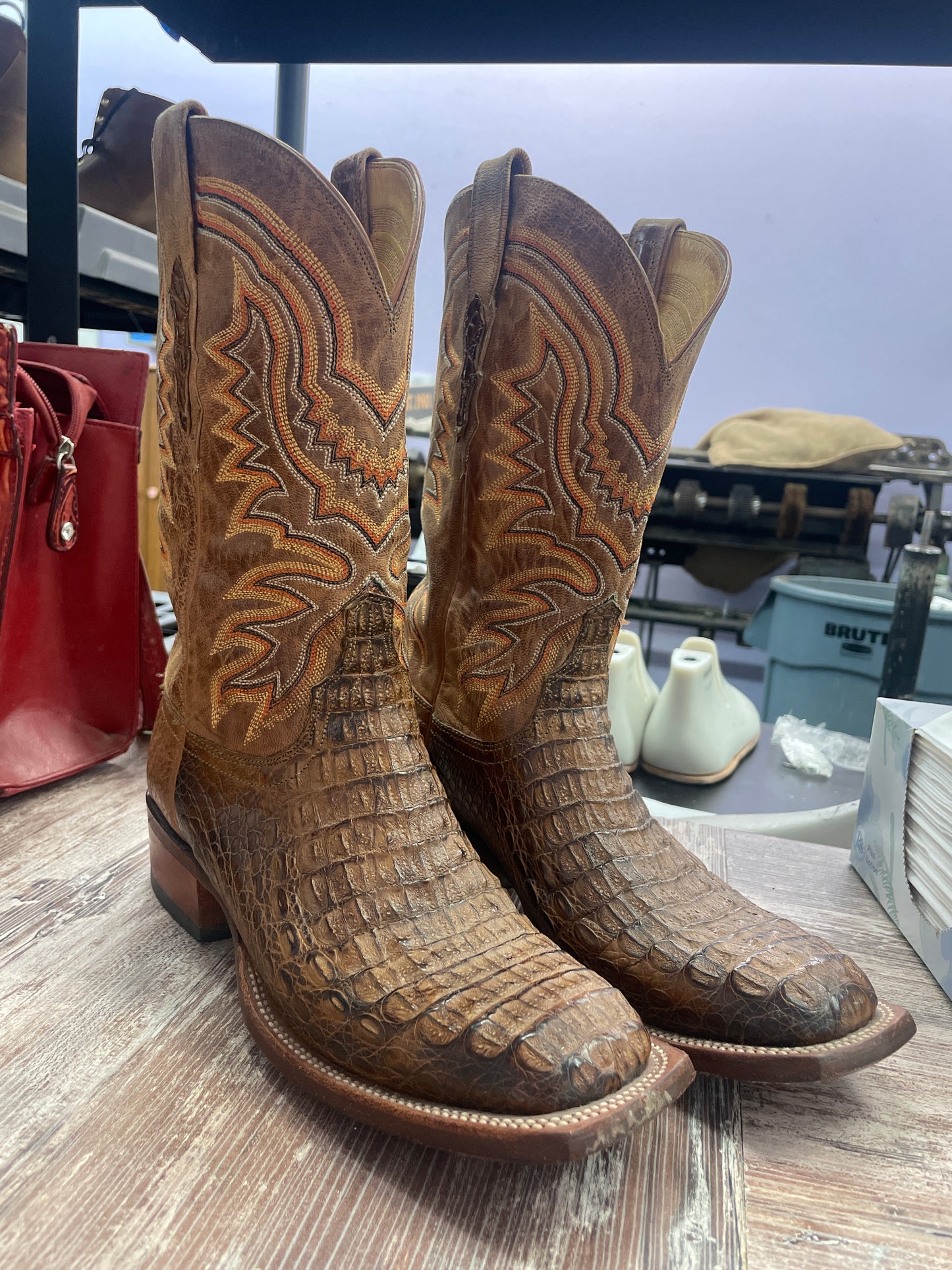 Caiman Alligator Lucchesse Cowboy Boots